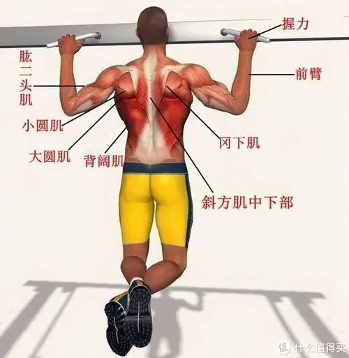 物联网wsn是什么